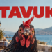 Tavuk